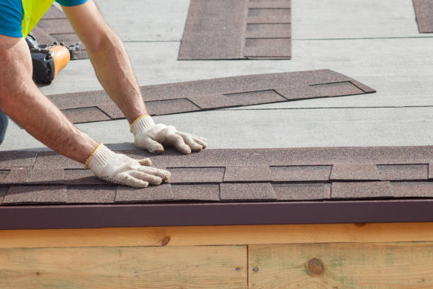 Best Skylight Installation and Repair  in Umatilla, FL