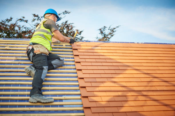 Best Gutter Installation and Repair  in Umatilla, FL