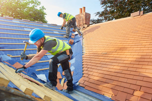 Best Emergency Roof Repair Services  in Umatilla, FL